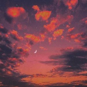 Meet your Posher, Jeanett